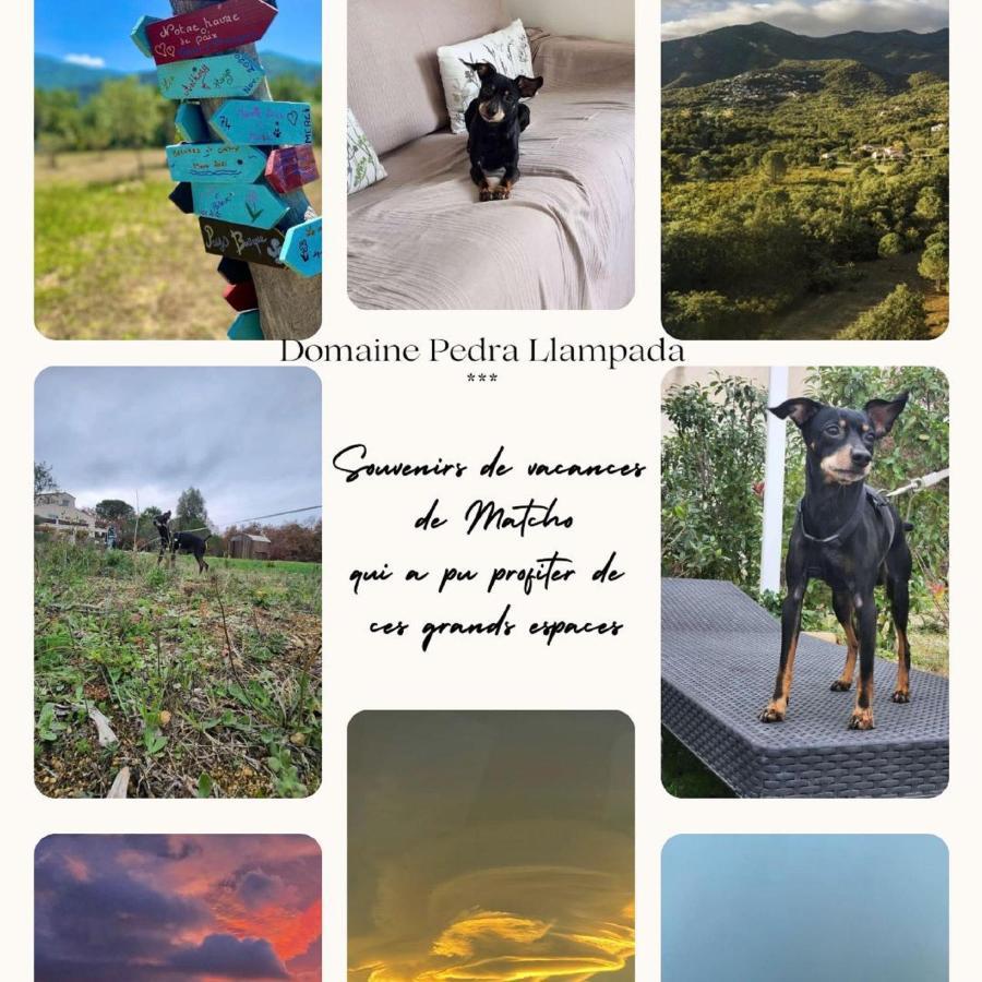 Domaine Pedra Llampada Gite Mer Villelongue-dels-Monts Экстерьер фото